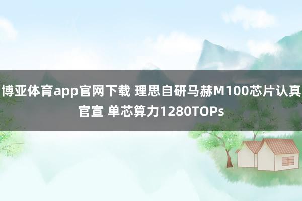 博亚体育app官网下载 理思自研马赫M100芯片认真官宣 单芯算力1280TOPs