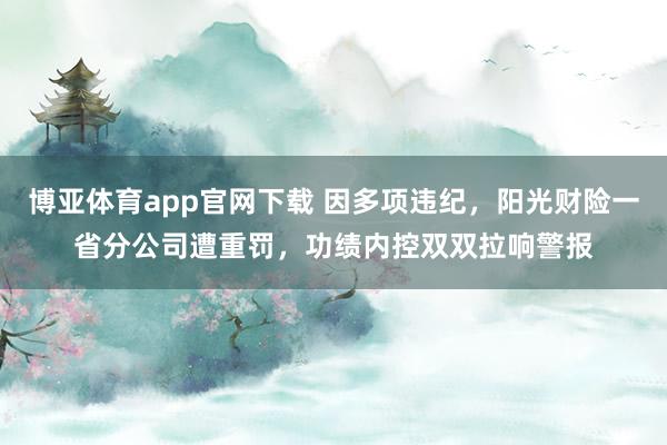 博亚体育app官网下载 因多项违纪，阳光财险一省分公司遭重罚，功绩内控双双拉响警报