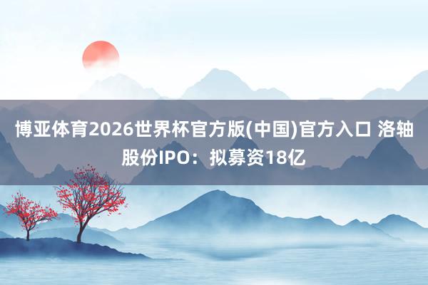 博亚体育2026世界杯官方版(中国)官方入口 洛轴股份IPO：拟募资18亿