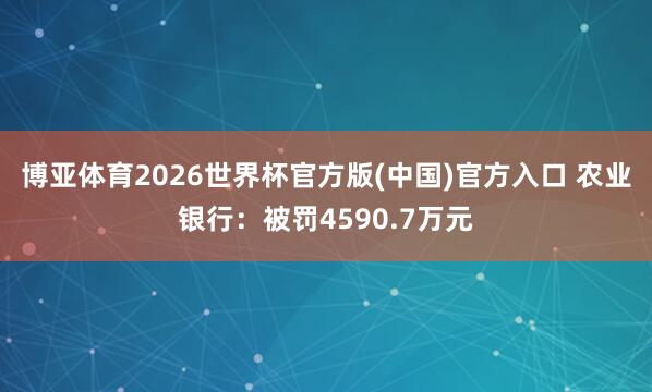 博亚体育2026世界杯官方版(中国)官方入口 农业银行：被罚4590.7万元
