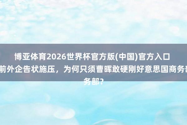 博亚体育2026世界杯官方版(中国)官方入口 畴前外企告状施压，为何只须曹晖敢硬刚好意思国商务部？