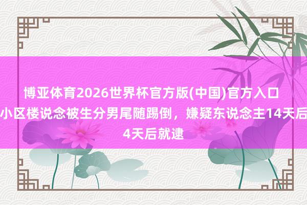 博亚体育2026世界杯官方版(中国)官方入口 女子小区楼说念被生分男尾随踢倒，嫌疑东说念主14天后就逮