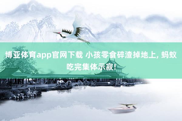 博亚体育app官网下载 小孩零食碎渣掉地上， 蚂蚁吃完集体示寂!