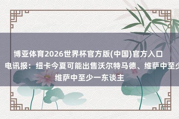 博亚体育2026世界杯官方版(中国)官方入口 实时止损！电讯报：纽卡今夏可能出售沃尔特马德、维萨中至少一东谈主