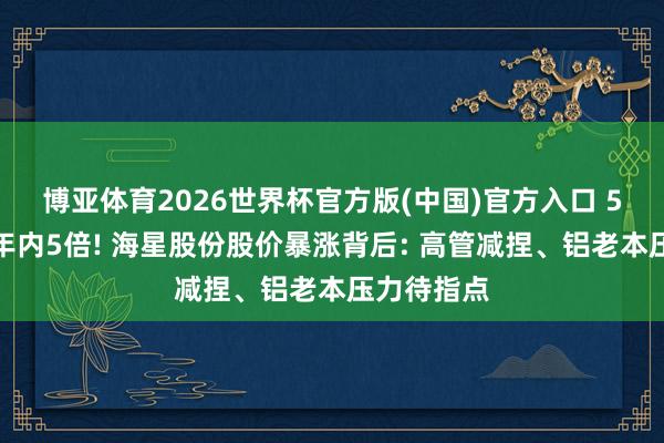 博亚体育2026世界杯官方版(中国)官方入口 5月翻倍、年内5倍! 海星股份股价暴涨背后: 高管减捏、铝老本压力待指点