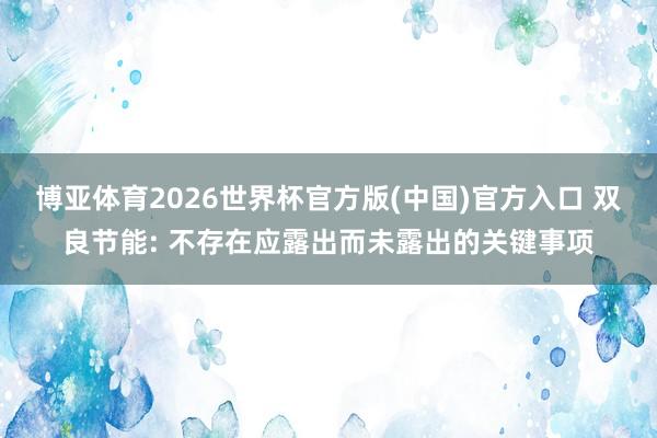 博亚体育2026世界杯官方版(中国)官方入口 双良节能: 不存在应露出而未露出的关键事项