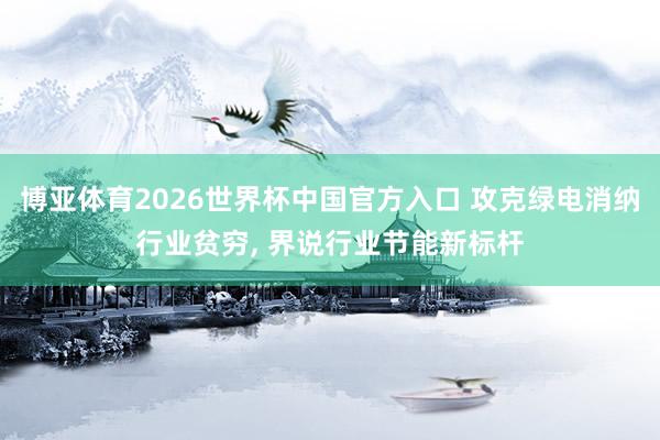 博亚体育2026世界杯中国官方入口 攻克绿电消纳行业贫穷， 界说行业节能新标杆
