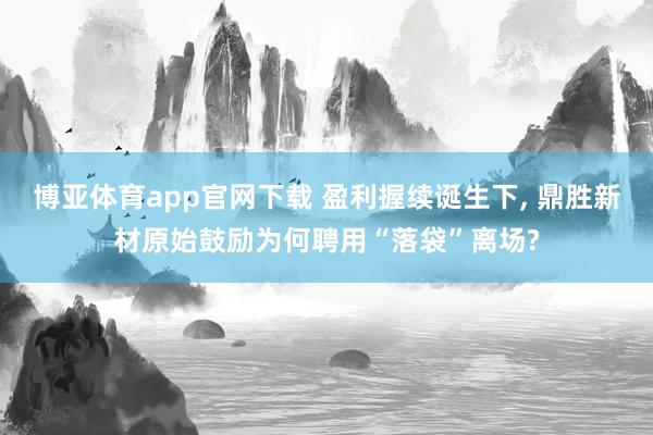 博亚体育app官网下载 盈利握续诞生下, 鼎胜新材原始鼓励为