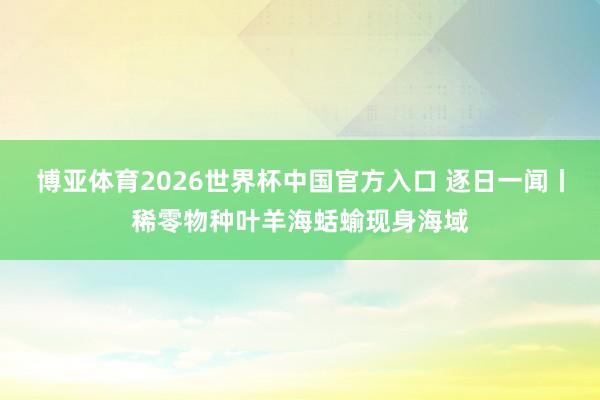 博亚体育2026世界杯中国官方入口 逐日一闻丨稀零物种叶羊海蛞蝓现身海域