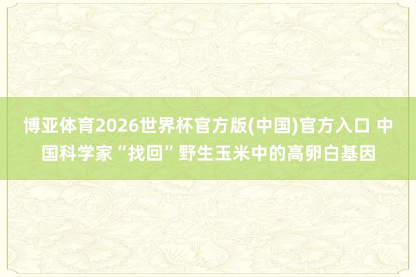 博亚体育2026世界杯官方版(中国)官方入口 中国科学家“找回”野生玉米中的高卵白基因