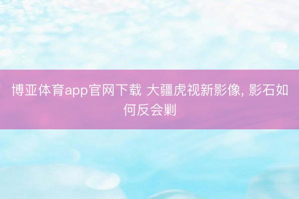 博亚体育app官网下载 大疆虎视新影像, 影石如何反会剿