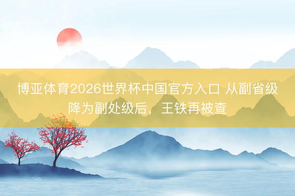 博亚体育2026世界杯中国官方入口 从副省级降为副处级后，王铁再被查
