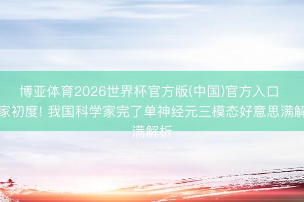 博亚体育2026世界杯官方版(中国)官方入口 专家初度! 我国科学家完了单神经元三模态好意思满解析
